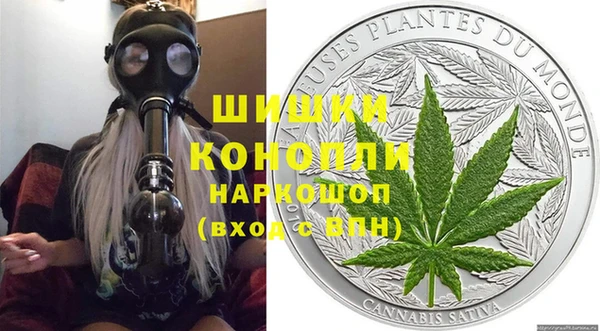 гидра Пересвет