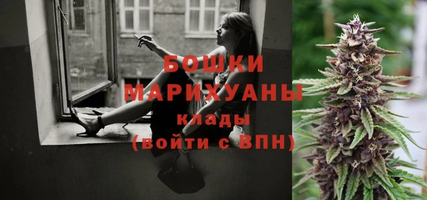 гидра Пересвет