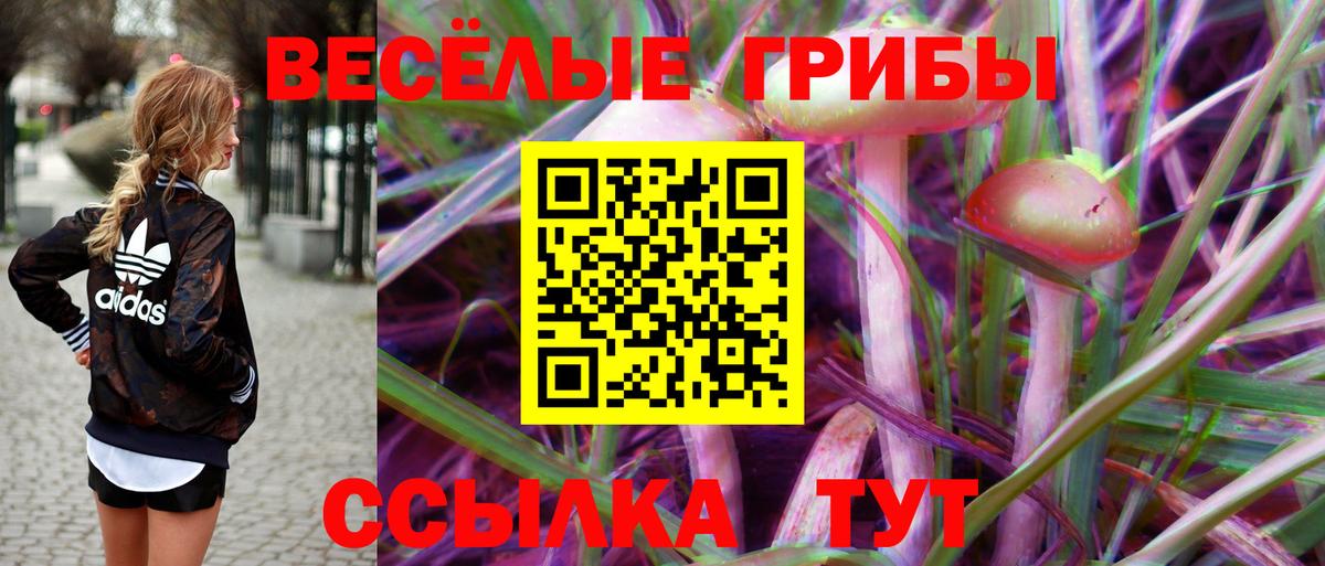 Галлюциногенные грибы мицелий  купить наркотики цена  Урус-Мартан  Вход с VPN 